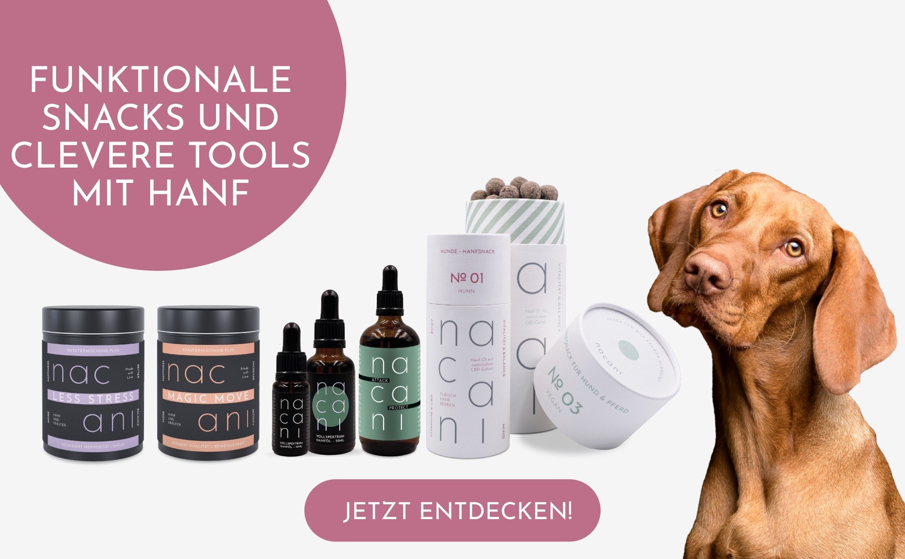 Ich bin wirklich kein Freund von Abkürzungen – und aus meiner Sicht kann ein gutes, konstruktives Training durch nichts ersetzt werden. Manche Hunde sind aber so überdreht, dass oft gar kein Durchkommen mehr ist. Genau da habe ich mit den pflanzlichen Produkten von Nacani die besten Erfahrungen gemacht. In Kombination mit einem vernünftigen Training ist das aus meiner Sicht ein echter Gamechanger.<br />
